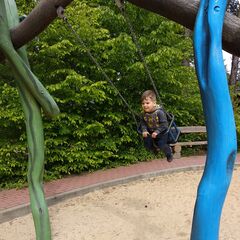 Schaukel auf dem Kleinkindspielplatz, Foto: Saskia Müller