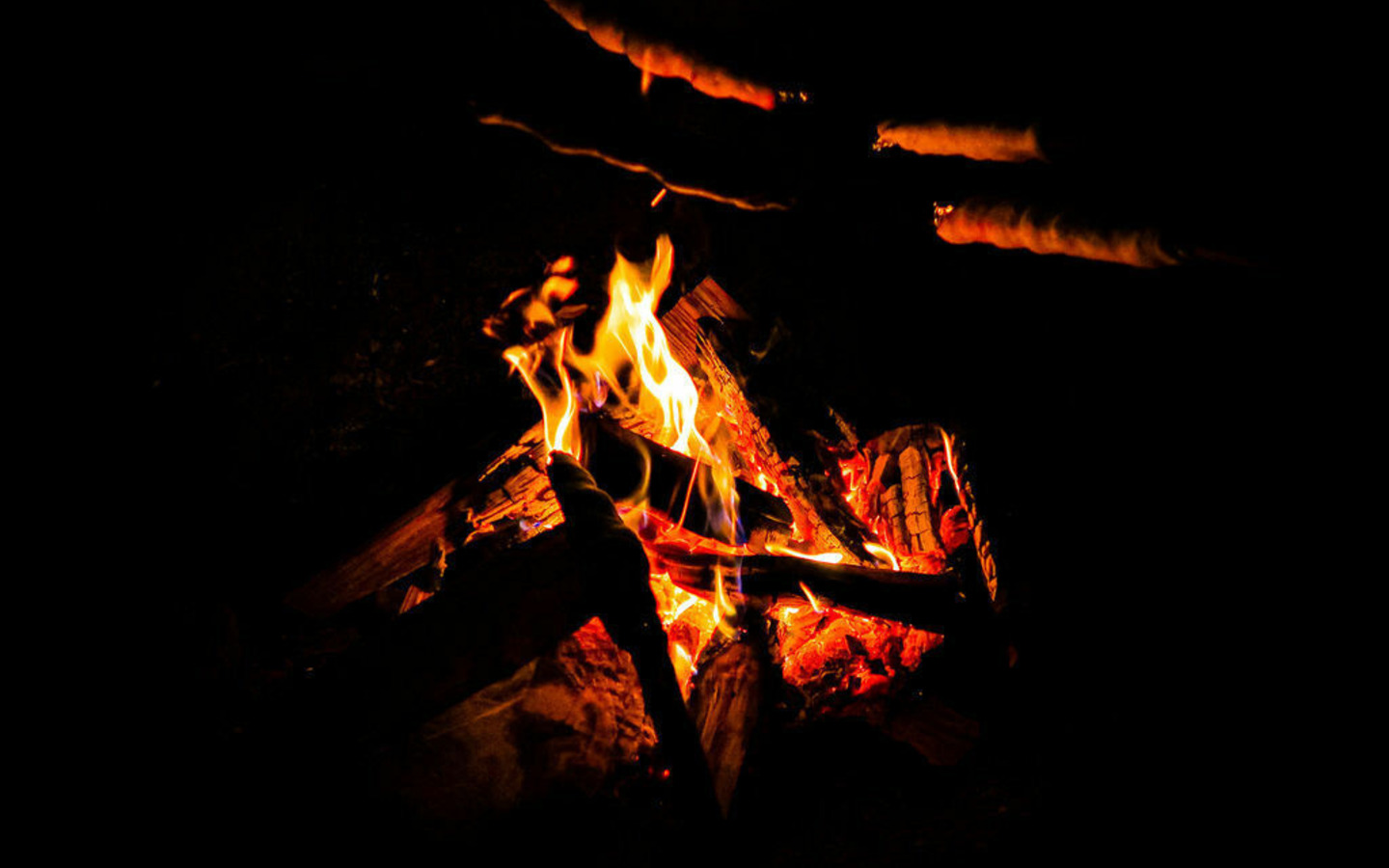 Lagerfeuerabend im Spielgarten, Foto: Julia Kussatz