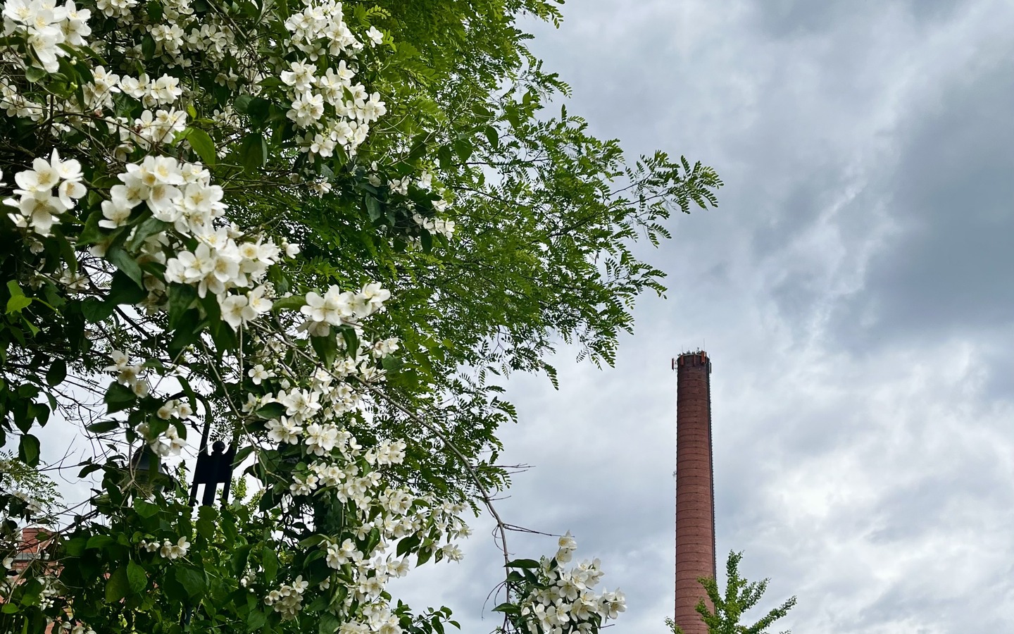 Energiefabrik Knappenrode im Frühling, Foto: Julia Kussatz