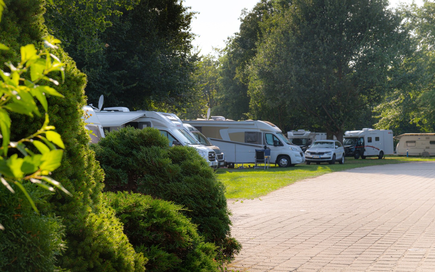 e7c1f7d4-f11e-4a1b-a46f-3a8cb2e4bca0