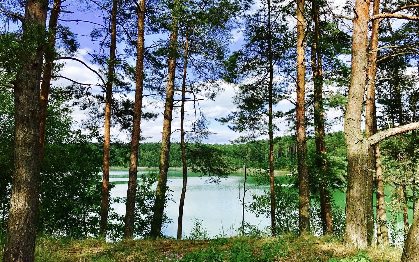 Foto: Touristinformation Senftenberg, Lizenz: Touristinformation Senftenberg